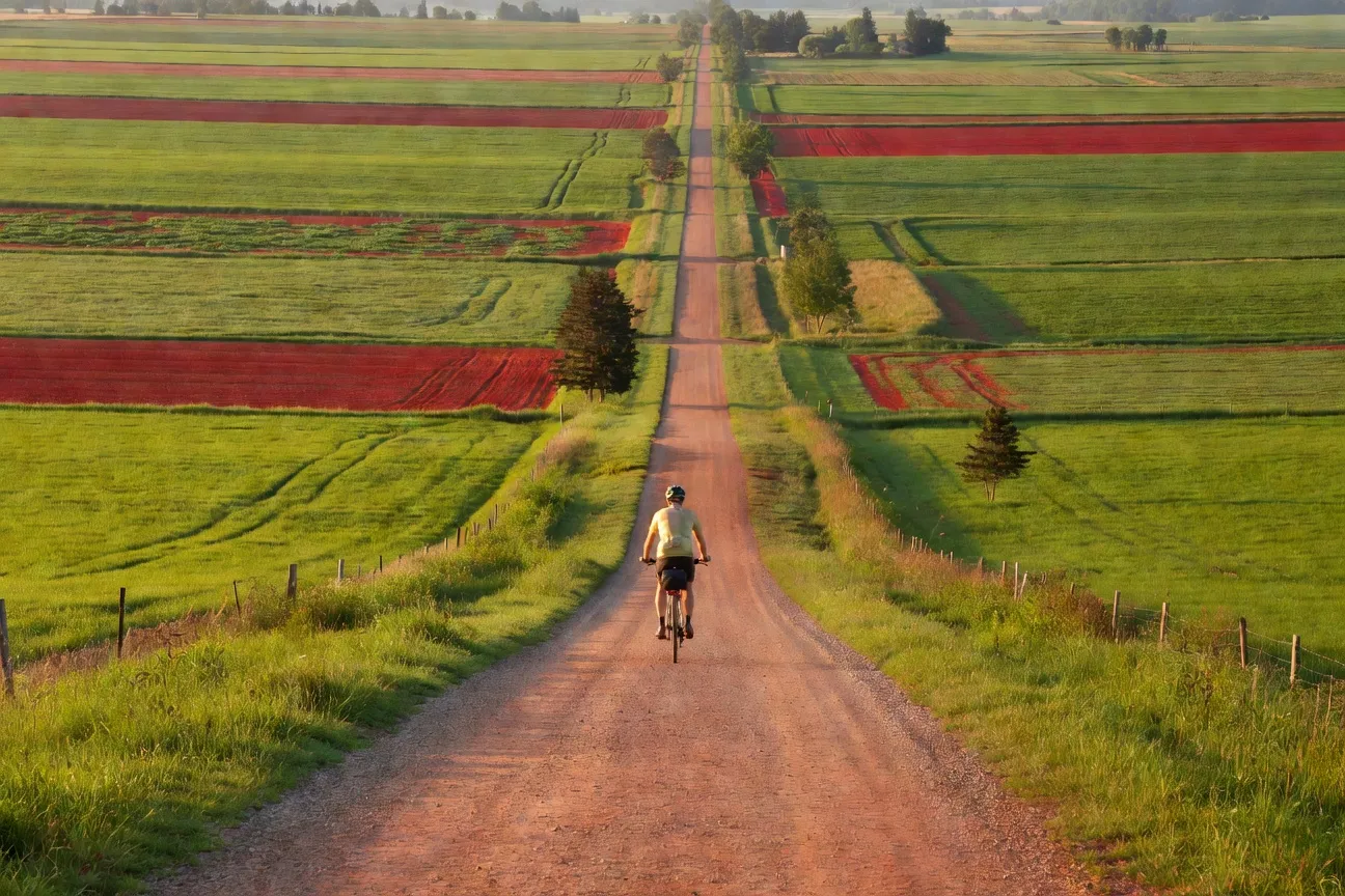 Confederation Trail Île-du-Prince-Édouard vélo piste cyclable