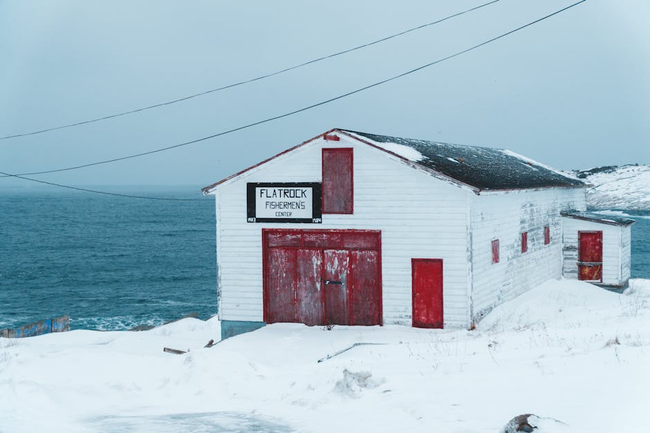 Terre-Neuve - Côte sauvage
